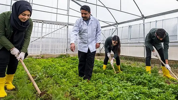 Milli Eğitim Bakanlığından tarım liseleri hamlesi