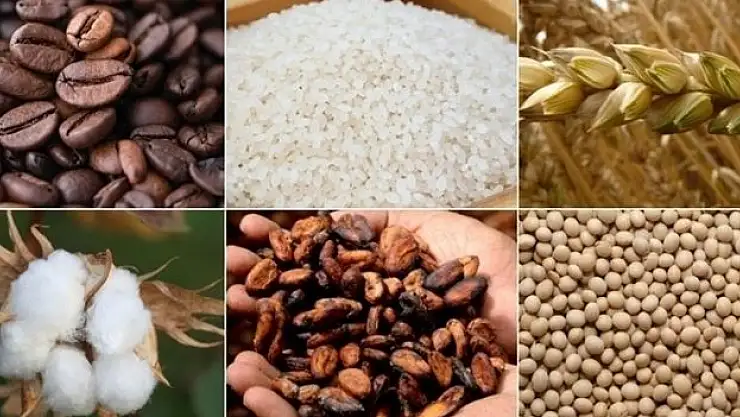 Emtia piyasasında satış baskısı sürüyor