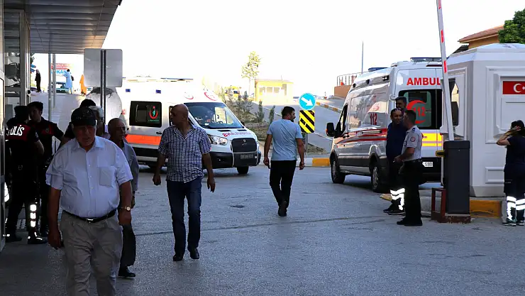 Arı sokmasına dikkat !  alerjik reaksiyonlar ölüme sebep olabilir