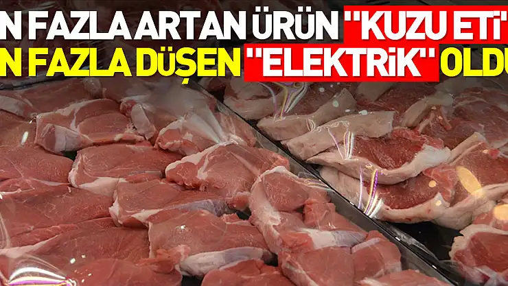 Nisanda fiyatı en fazla artan ürün 'kuzu eti', en fazla düşen 'elektrik' oldu