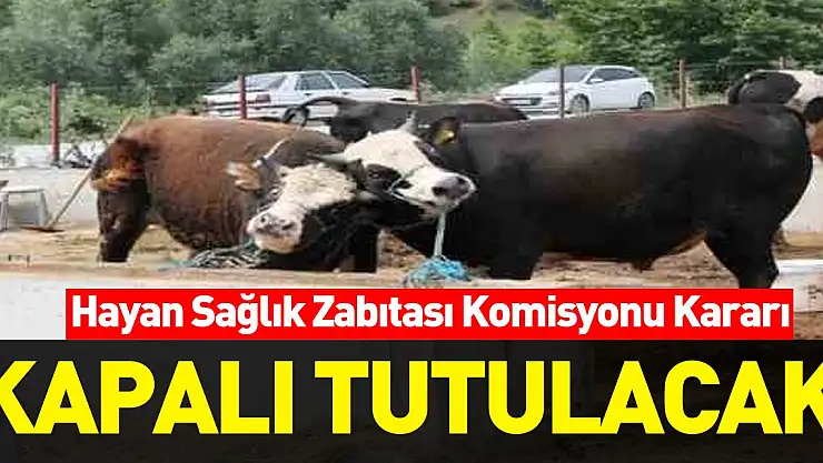 Samsun Hayvan Sağlık Zabıtası Komisyonu kararı: Hayvan pazarı satış yerleri kapalı tutulacak