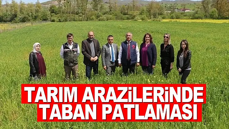 Tarım arazilerinde taban patlatmasının önemi