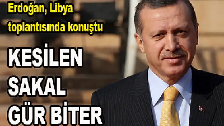 Erdoğan, BM'deki Libya toplantısında konuştu