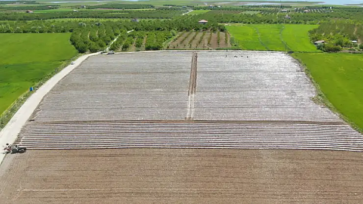 Deprem tarımı da vurdu, mevsimlik işçi bulunamıyor