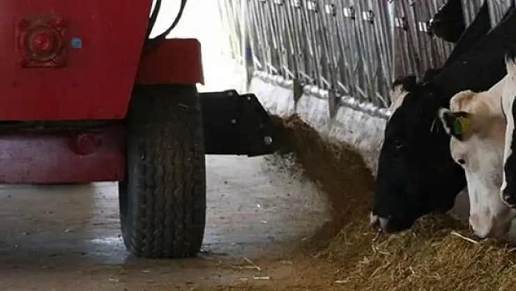 Tarım ve Orman Bakanı Kirişci'den düve alım desteği açıklaması