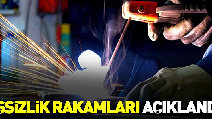 İşsizlik rakamları açıklandı