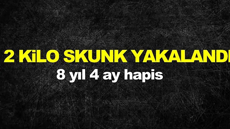 Samsun'da 2 kilo 589 gram skunk ile yakalanan 1 kişiye 8 yıl 4 ay hapis