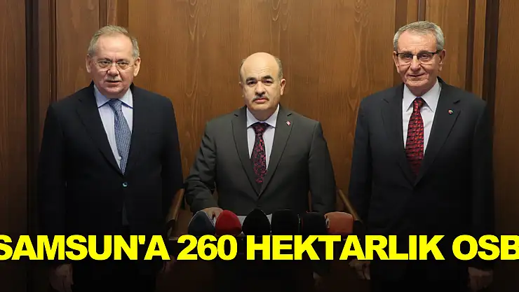 Samsun'a 260 hektarlık OSB
