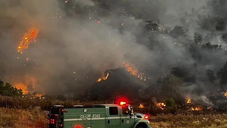 ABD'de orman yangını