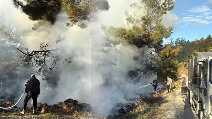 Alevlere süt sıkarak müdahale etti