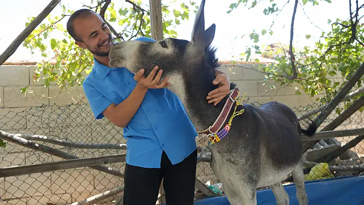 Annesi ölen sıpayı elleriyle besliyor
