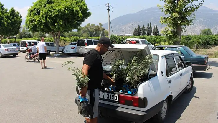 Antalya'da Tarıma Destek: Büyükşehir 19 İlçede Zeytin Fidanı Dağıtıyor!