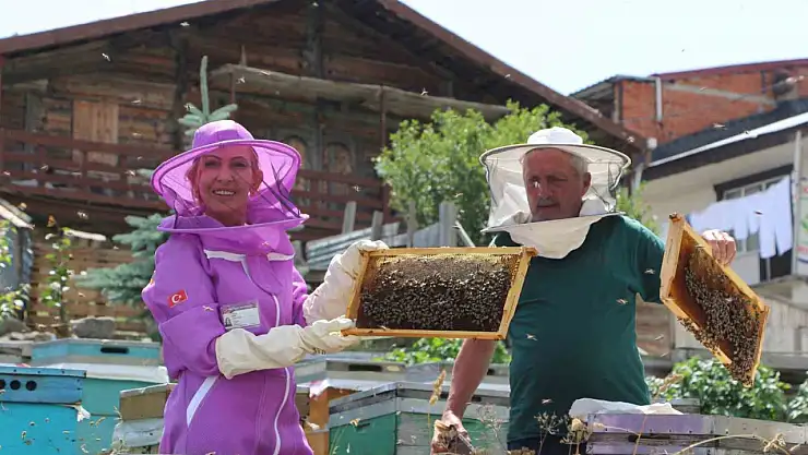 Anzer balında referans kovanlarında sağım gerçekleşti