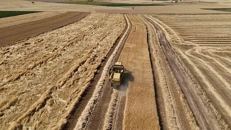 Arpa ve buğdayın hasadına başlandı