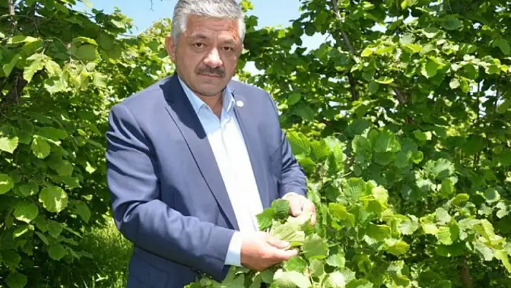 Arslan Soydan'dan Fındık Üreticisine Uyarı: 'Dik Durun, Acele Etmeyin'