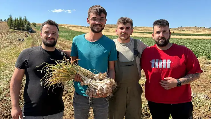 Avrupa Birliği'nce tescillenen sarımsağın hasadı başladı