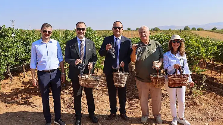 Avrupa ve Türkiye'nin ortak mirası Çal'da sergilendi