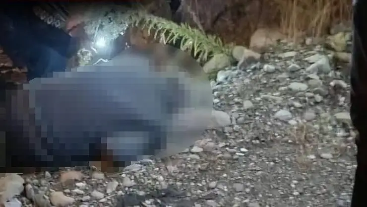 Ayancık Panayırı'nda bir kişi hayatını kaybetti