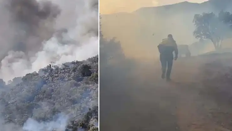 Aydın'da orman yangını! Rüzgarın etkisiyle yayıldı