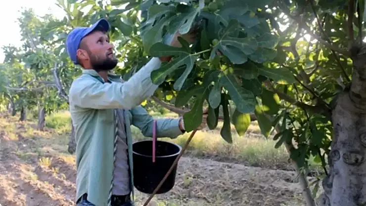 Aylık 90 bin TL maaşla işçi aranıyor
