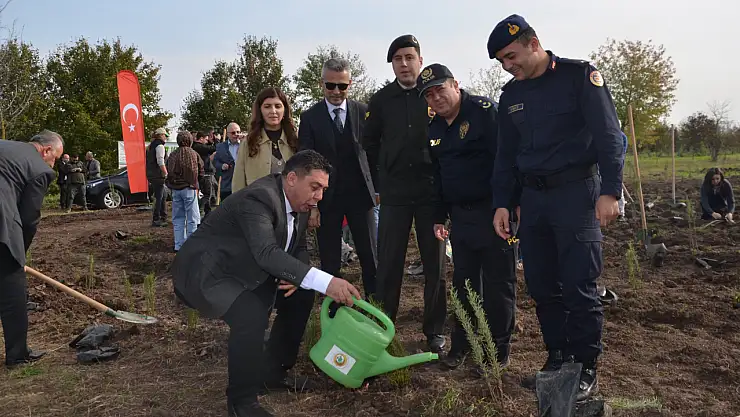 Bafra'da fidan seferberliği