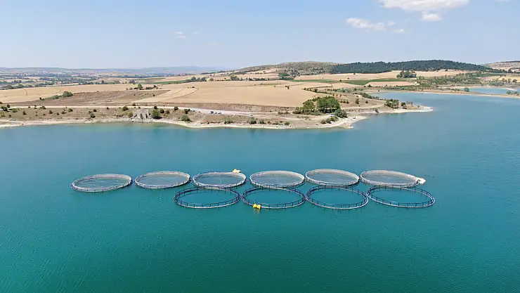 Balık kafesleri patladı, oltasını alan barajın yolunu tuttu