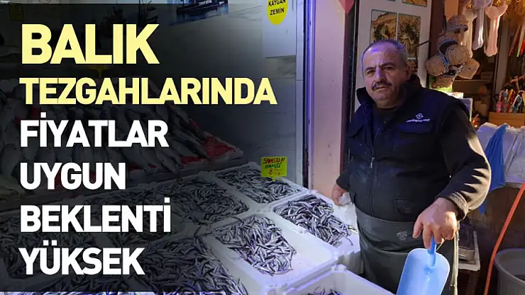 Balık Tezgahlarında Fiyatlar Uygun, Beklenti Yüksek