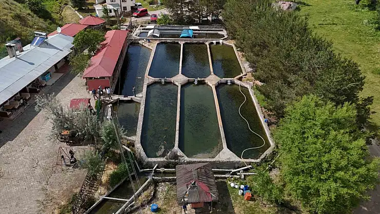 Balıklar dünyaya pazarlanıyor