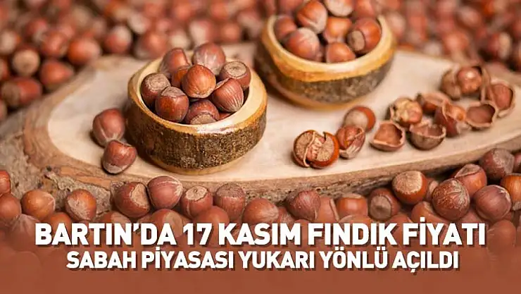 Bartın'da 17 Kasım Fındık Fiyatı Açıklandı: Sabah Piyasası Yukarı Yönlü Açıldı