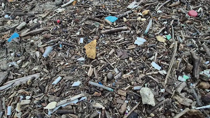 Bartın'da Sahile Vuran Tıbbi Atıklar Korkuttu