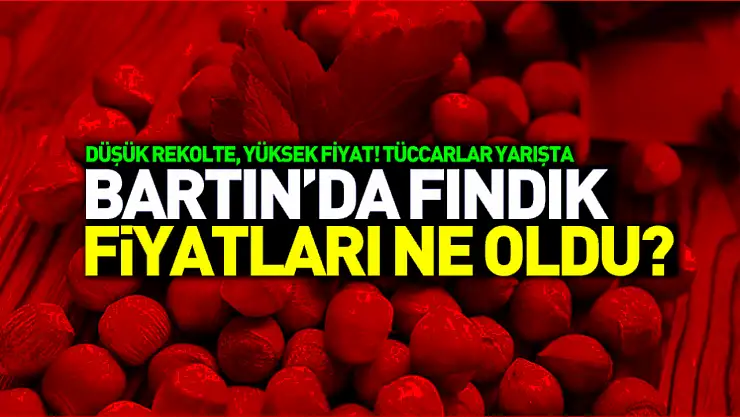 Bartın fındık fiyatları 7 Kasım 2025: Düşük rekolte, yüksek fiyat! Tüccarlar yarışta