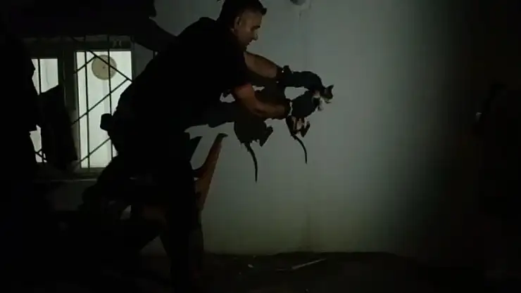 Batman'da bir kedi Lavabo borusuna sıkıştı