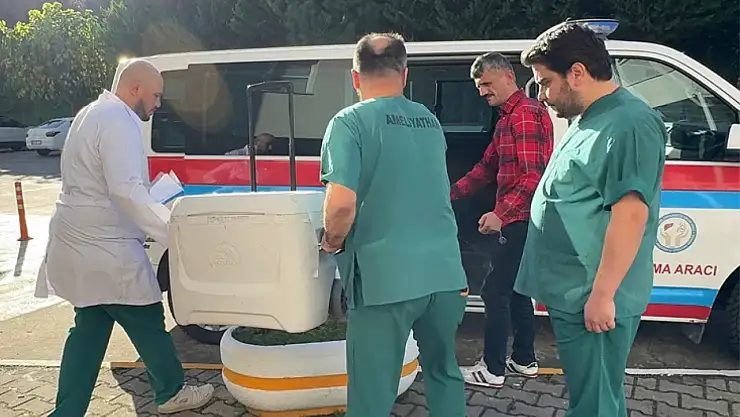 Beyin ölümü gerçekleşen kişinin karaciğeri bağışlandı