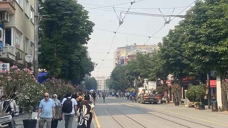 Bilecik'te süren yangının dumanı başka ile ulaştı