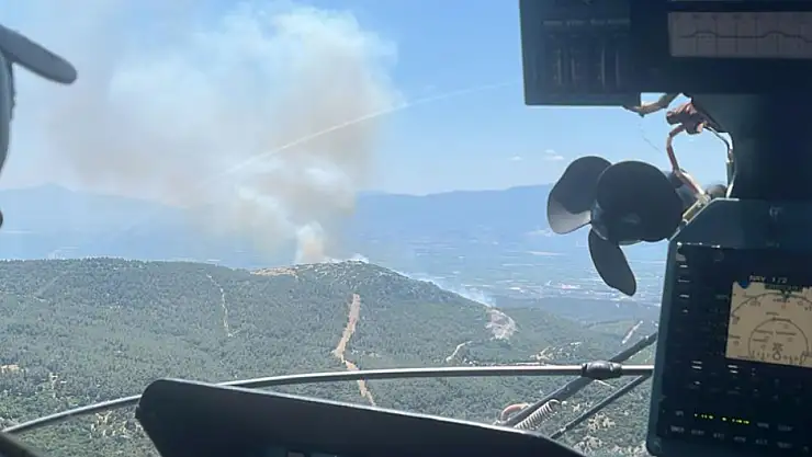 Bir orman yangını daha başladı