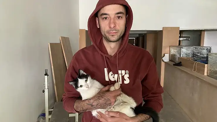 Boş dükkandaki kediler ilginç bir tartışmaya konu oldu