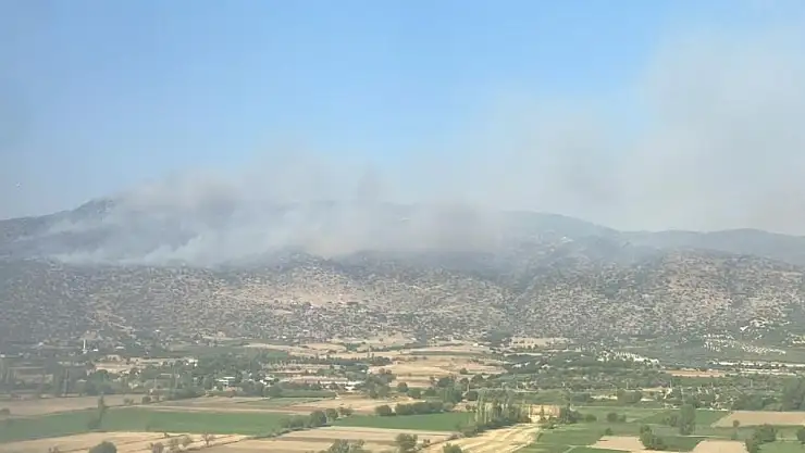 Bozdoğan'da makilik yangını