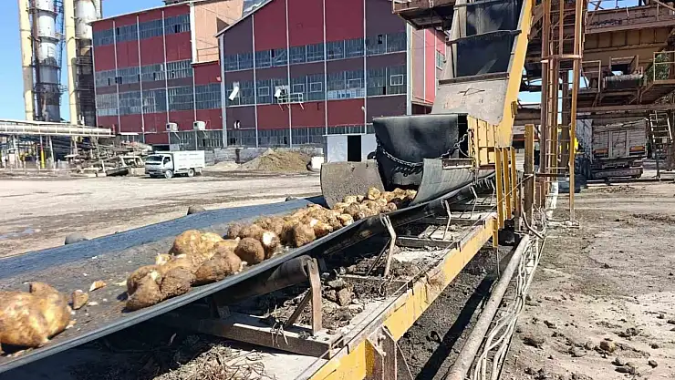 Bu fabrikada 62 bin yon şeker hedefleniyor