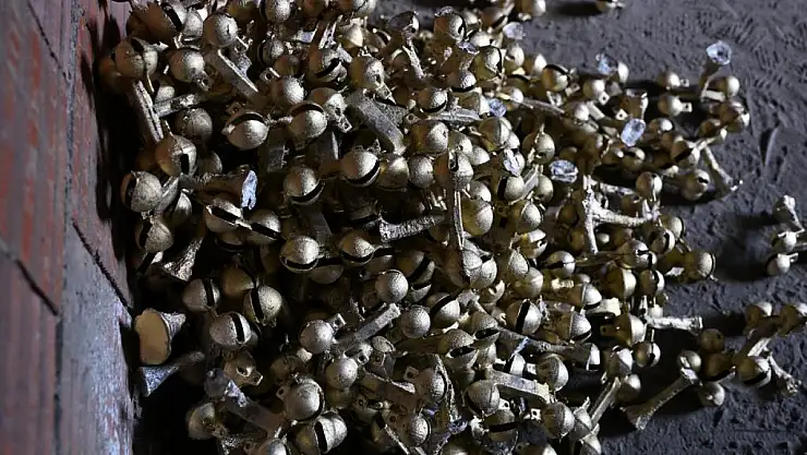 Bu zili Türkiye'de sadece 2 kişi üretiyor