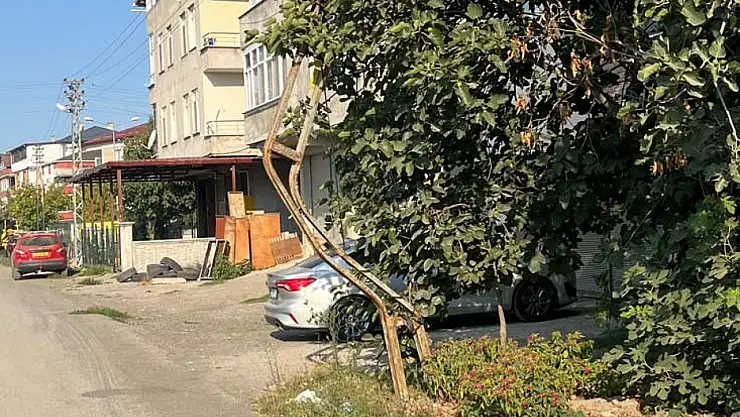 Bükülmüş direk hayrete düşürüyor!