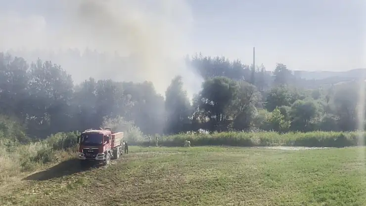 Bursa'da orman yangını ! çalışmalar devam ediyor