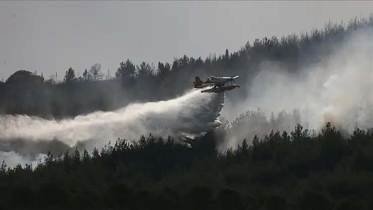 Çanakkale'deki orman yangınına müdahale sürüyor