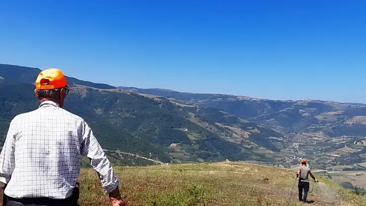 Canik'teki çekirge istilasına karşı düğmeye basıldı