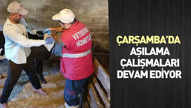 Çarşamba'da  aşılama çalışmaları devam ediyor