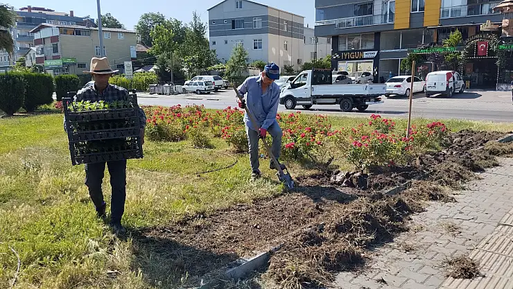 Çarşamba'da yaz hazırlıkları