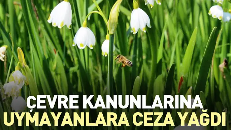 Çevre Kanunlarına uymayanlara ceza yağdı