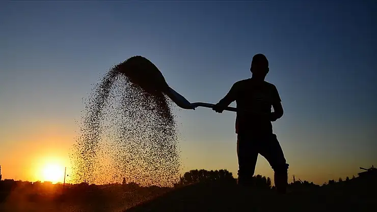 Çiftçilere destekleme ödemesi bugün yapılıyor