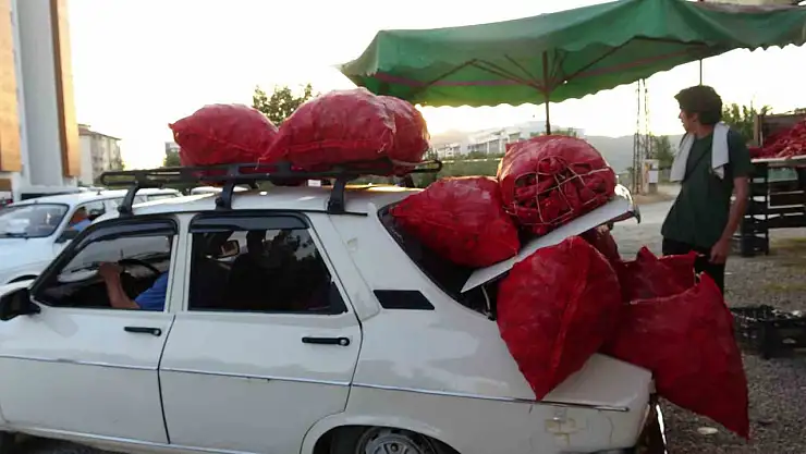 Çiftçilerin zorlu biber mesaisi