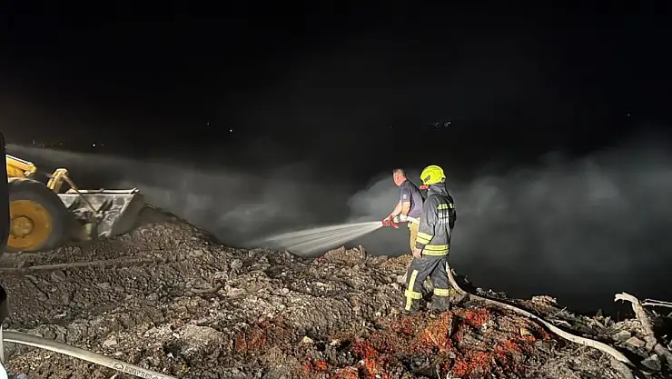 Çöplük alanda yangın çıktı