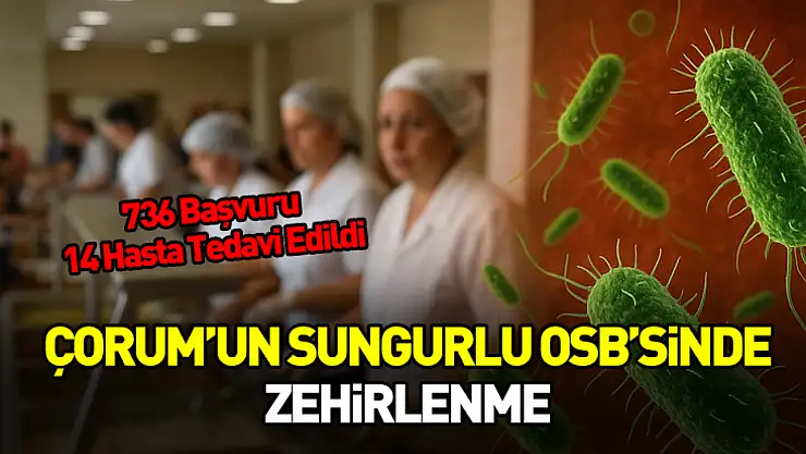 Çorum Valiliği'nden Sungurlu OSB'deki Zehirlenme Vakalarıyla İlgili Açıklama